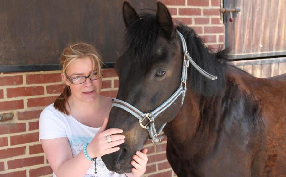 Eiffage Foundation: horse-riding helping to integrate young people in the north of France