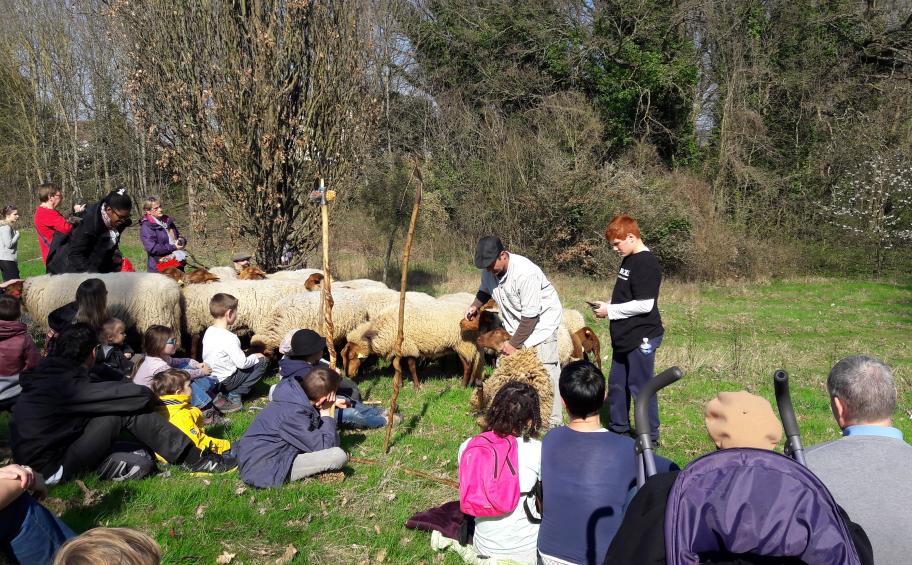 Eiffage Foundation: educational farm near Cergy-Pontoise mobilising people in difficulty