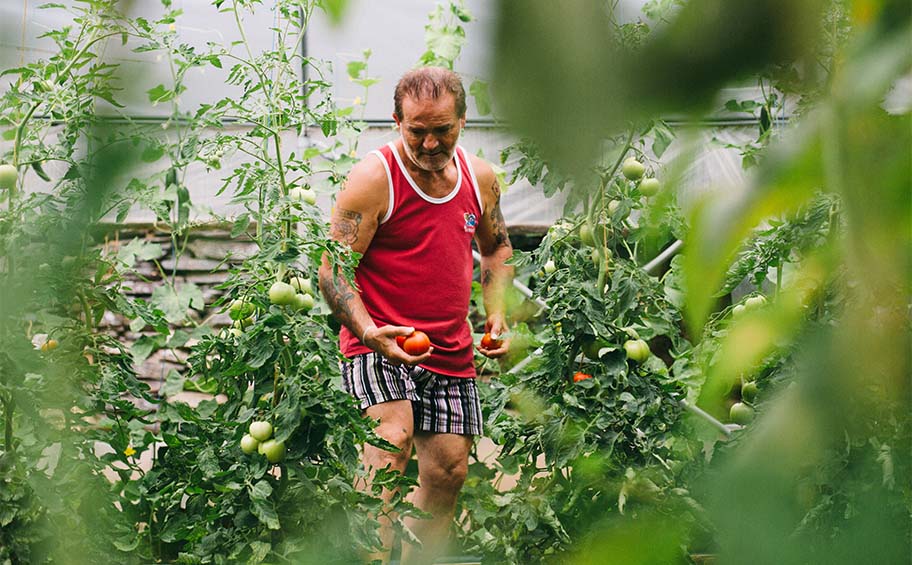 Eiffage Foundation: An agroecological farm helping to reintegrate prisoners at the end of their sentence in Occitanie